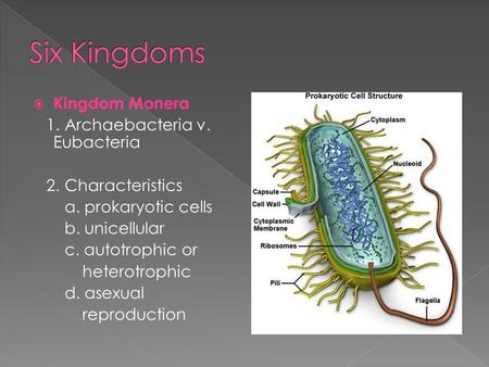 Six Kingdoms Kingdom Monera 1. Archaebacteria v. Eubacteria