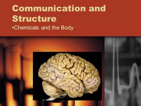 Communication and Structure Chemicals and the Body.