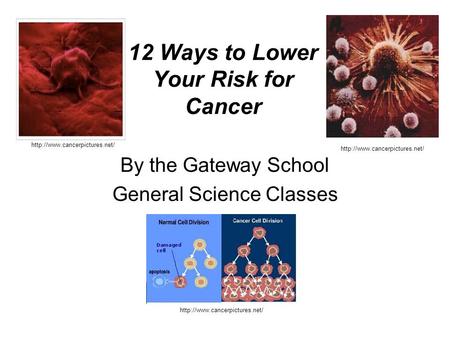 12 Ways to Lower Your Risk for Cancer  By the Gateway School General Science Classes.