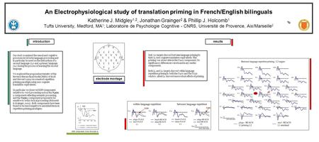 An Electrophysiological study of translation priming in French/English bilinguals Katherine J. Midgley 1,2, Jonathan Grainger 2 & Phillip J. Holcomb 1.