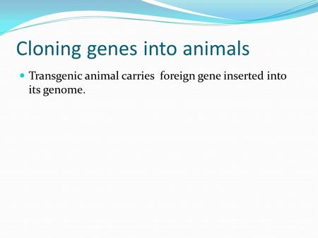 Cloning genes into animals Transgenic animal carries foreign gene inserted into its genome.