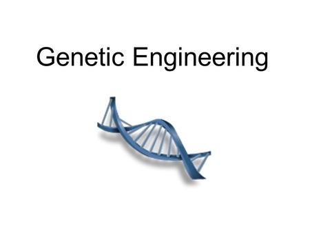 Genetic Engineering. Biotechnology and Recombinant DNA.