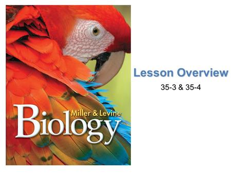 Lesson Overview 35-3 & 35-4.