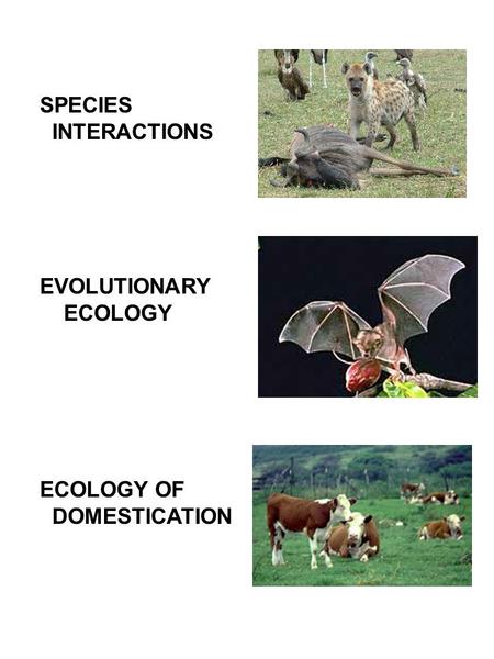 SPECIES INTERACTIONS EVOLUTIONARY ECOLOGY ECOLOGY OF DOMESTICATION.