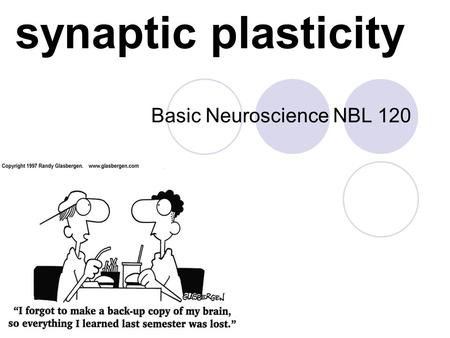 Synaptic plasticity Basic Neuroscience NBL 120. classical conditioning CS (neutral) - no response US - UR After pairing: CS - CR.