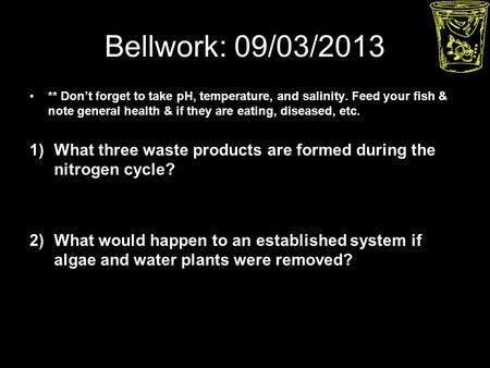 Bellwork: 09/03/2013 ** Don’t forget to take pH, temperature, and salinity. Feed your fish & note general health & if they are eating, diseased, etc. 1)What.