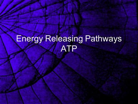 Energy Releasing Pathways ATP