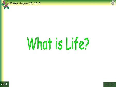 1 Friday, August 28, 2015 exit. 2 Friday, August 28, 2015 exit What is Life Reading pg.1 In the summer of 1973, thousands of slimy “blobs” appeared in.
