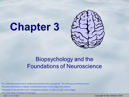 Copyright © Allyn & Bacon 2007 Chapter 3 Biopsychology and the Foundations of Neuroscience This multimedia product and its contents are protected under.