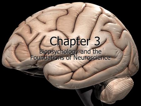 Copyright © Allyn & Bacon 2007 Chapter 3 Biopsychology and the Foundations of Neuroscience.