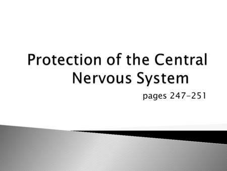 Pages 247-251. Physical Protection:  Bone: Skull and vertebral column  Membranes: Skin/Scalp, Meninges  Watery Cushion: Cerebrospinal fluid (CSF) Chemical.