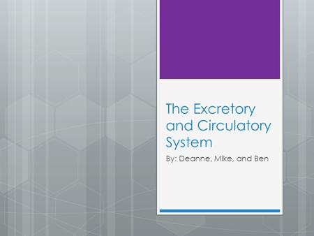 The Excretory and Circulatory System By: Deanne, Mike, and Ben.