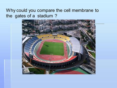 Why could you compare the cell membrane to the  gates of a  stadium ?