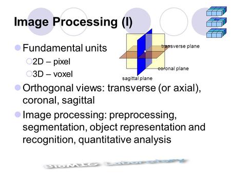 Image Processing (I) Fundamental units  2D – pixel  3D – voxel Orthogonal views: transverse (or axial), coronal, sagittal Image processing: preprocessing,