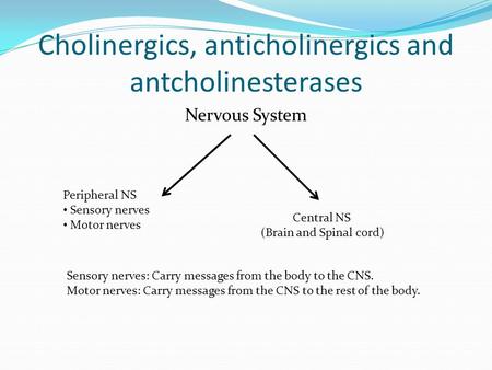 Cholinergics, anticholinergics and antcholinesterases Nervous System Peripheral NS Sensory nerves Motor nerves Central NS (Brain and Spinal cord) Sensory.