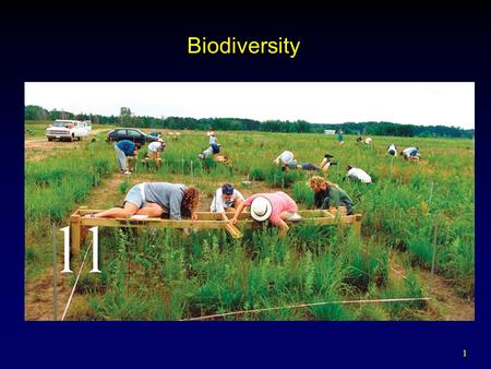 1 Biodiversity. 2 Outline Biodiversity and the Species Concept  Varied Definitions Benefits of Biodiversity Threats to Biodiversity  Natural and Human.
