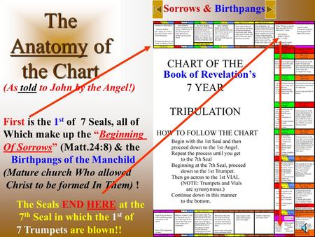 The Anatomy of the Chart Book of Revelation’s Sorrows & Birthpangs First is the 1 st of 7 Seals, all of Which make up the “Beginning Of Sorrows” (Matt.24:8)