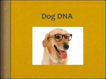 DOG DNA  You will be assigned a partner.  You will need:  1 envelope with 32 gene strips  Tape  Construction paper  Markers  Trait Map (Moodle)