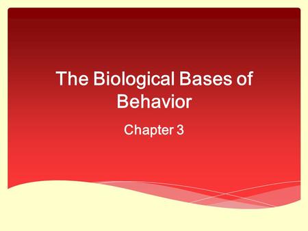 The Biological Bases of Behavior Chapter 3.  Hardware:  Glia – structural support and insulation  Neurons – communication  Soma – cell body  Dendrites.