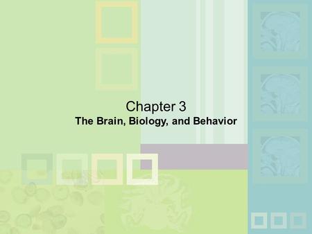 Chapter 3 The Brain, Biology, and Behavior. n Neuron: Individual nerve cell  Dendrites: Receive messages from other neurons  Soma: Cell body; body of.