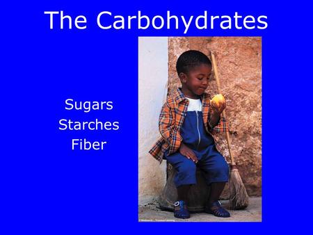 The Carbohydrates Sugars Starches Fiber Objectives After reading Chapter 3 and class discussion, you will be able to: –Describe the functions of CHO.