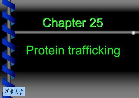 Chapter 25 Protein trafficking. 25.1 Introduction 25.2 Oligosaccharides are added to proteins in the ER and Golgi 25.3 The Golgi stacks are polarized.