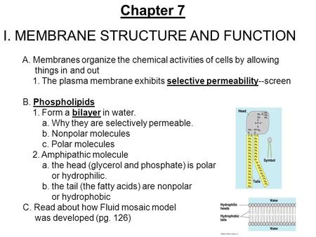 I. MEMBRANE STRUCTURE AND FUNCTION