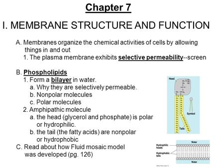 view Industrial restructuring: