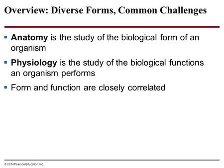 Overview: Diverse Forms, Common Challenges