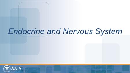 Endocrine and Nervous System