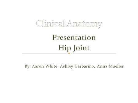 Presentation Hip Joint By: Aaron White, Ashley Garbarino, Anna Mueller