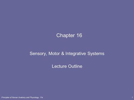 Sensory, Motor & Integrative Systems Lecture Outline