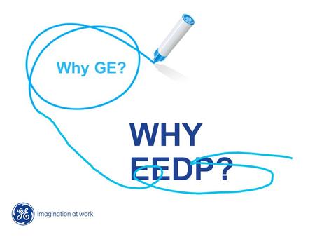 20050291-1 / 1 World-Class HR at GE Why GE? WHY EEDP?