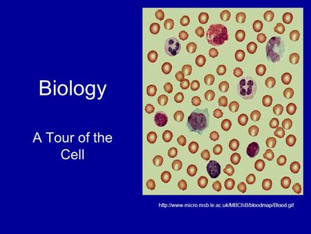 Biology A Tour of the Cell