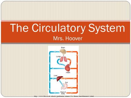 The Circulatory System Mrs. Hoover