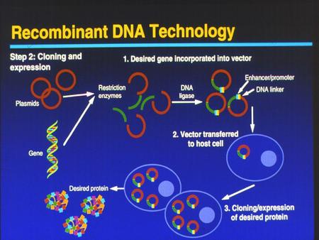 Why Recombine DNA? 1.To produce protein products 2.To alter genetic inheritence (new traits) 3.For diagnostic tests – allows researchers to study causes.