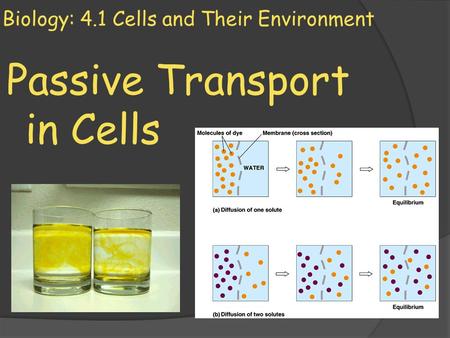 Biology: 4.1 Cells and Their Environment