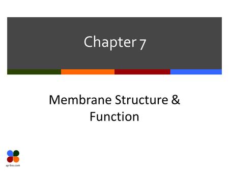 Chapter 7 Membrane Structure & Function. Slide 2 of 38 7.1 Plasma Membrane  Cell’s barrier to the external world  Selectively permeable  Allows only.