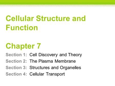 Cellular Structure and Function Chapter 7