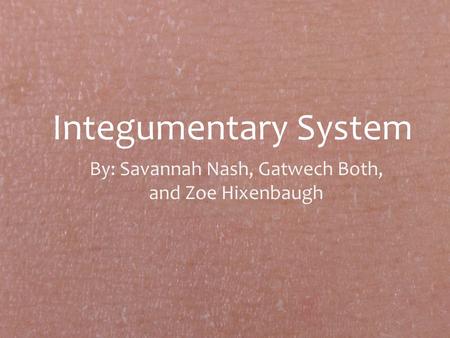 Integumentary System By: Savannah Nash, Gatwech Both, and Zoe Hixenbaugh.