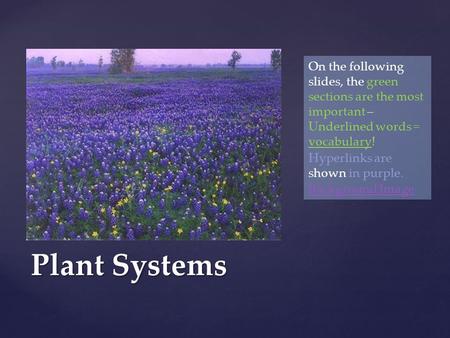 Plant Systems On the following slides, the green sections are the most important – Underlined words = vocabulary! Hyperlinks are shown in purple. Background.