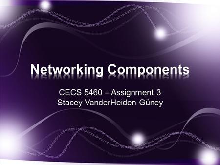 CECS 5460 – Assignment 3 Stacey VanderHeiden Güney.