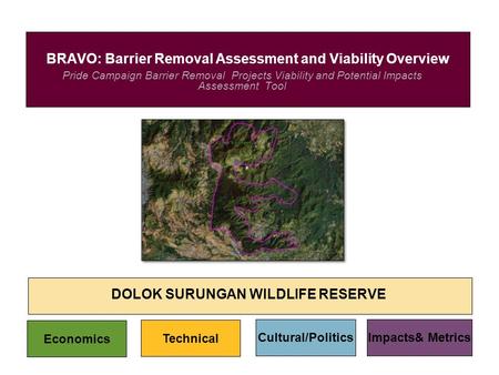 Pride Campaign Barrier Removal Projects Viability and Potential Impacts Assessment Tool BRAVO: Barrier Removal Assessment and Viability Overview DOLOK.
