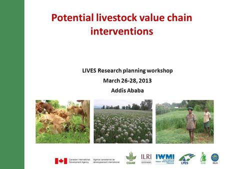 Potential livestock value chain interventions LIVES Research planning workshop March 26-28, 2013 Addis Ababa.