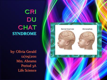 CRI DU CHAT SYNDROME by: Olivia Gerald 12|o9|2011 Mrs. Abrams