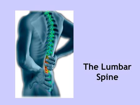 The Lumbar Spine. Introduction Prevalance Diagnosis of lumbar spine Soft tissue/repetitive strain injuries Facet joint injuries OA Disc problems Summary.