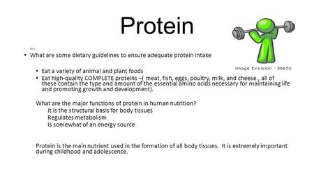 Protein Day 2 What are some dietary guidelines to ensure adequate protein intake Eat a variety of animal and plant foods Eat high-quality COMPLETE proteins.