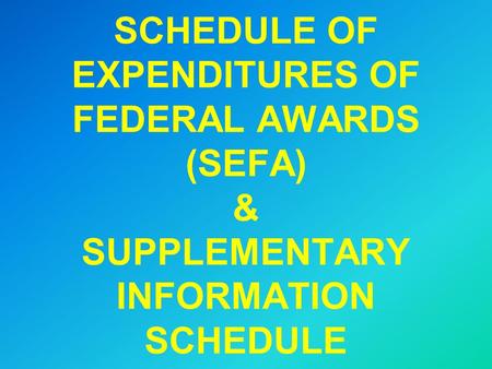 SCHEDULE OF EXPENDITURES OF FEDERAL AWARDS (SEFA) & SUPPLEMENTARY INFORMATION SCHEDULE.