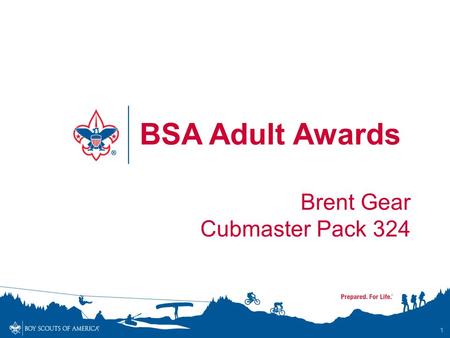 BSA Adult Awards Brent Gear Cubmaster Pack 324.