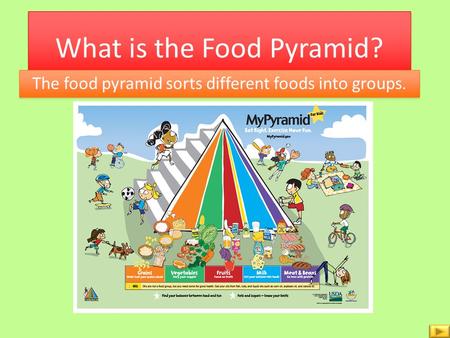 What is the Food Pyramid?